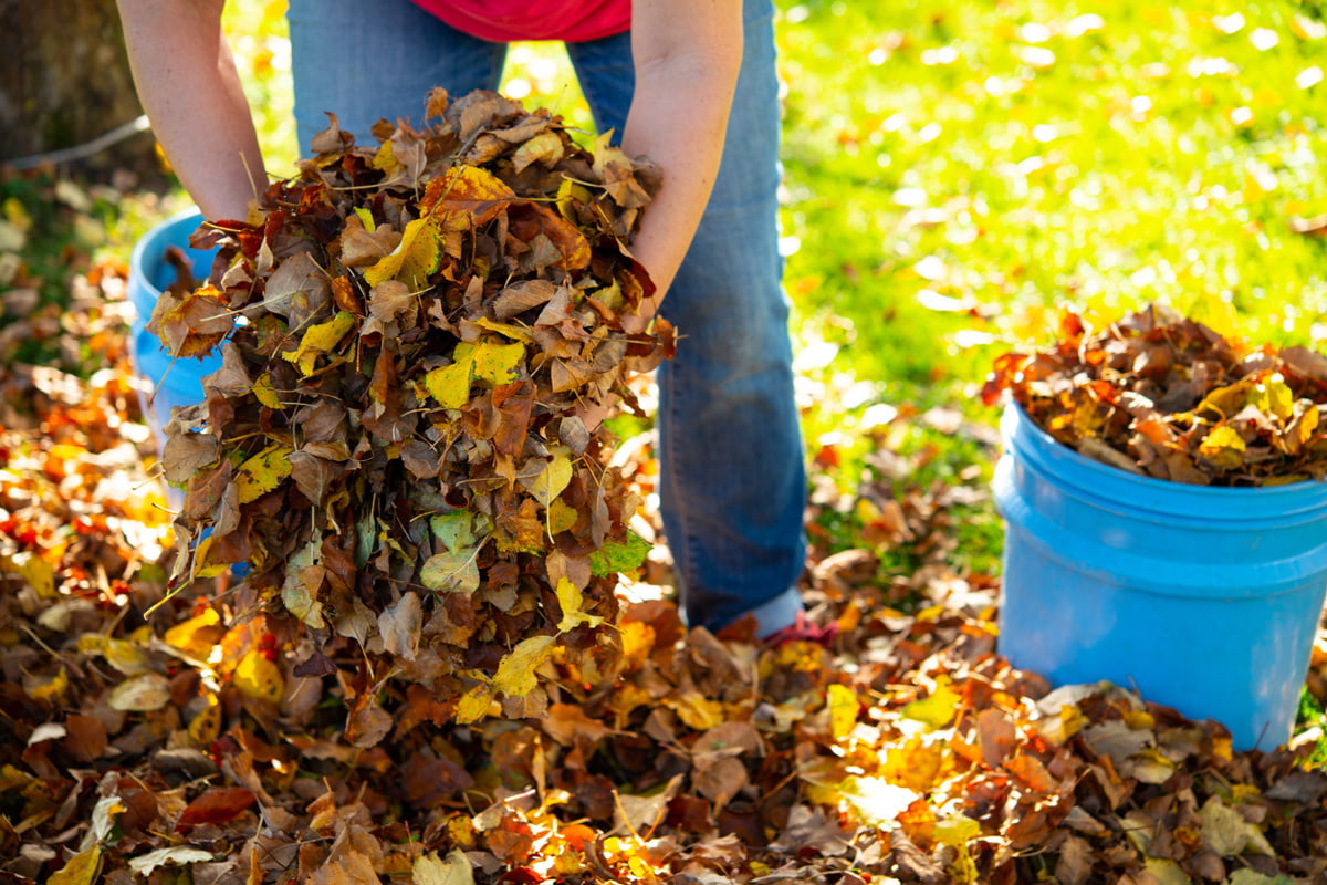 46+ Der Garten Im Herbst, Doch was erwartet den gartenbesitzer im