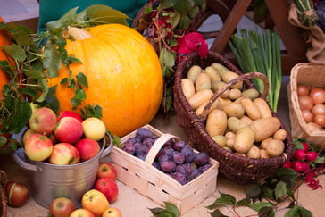 Der Garten im Oktober das ist jetzt zu tun