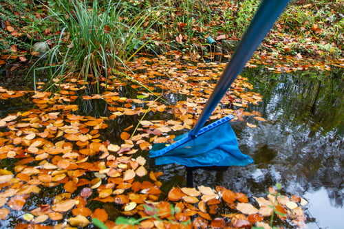 Der Garten im Oktober das ist jetzt zu tun